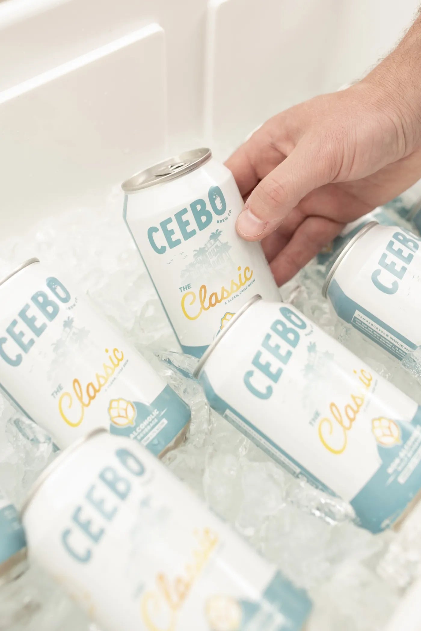 The Classic, 12 oz. cans