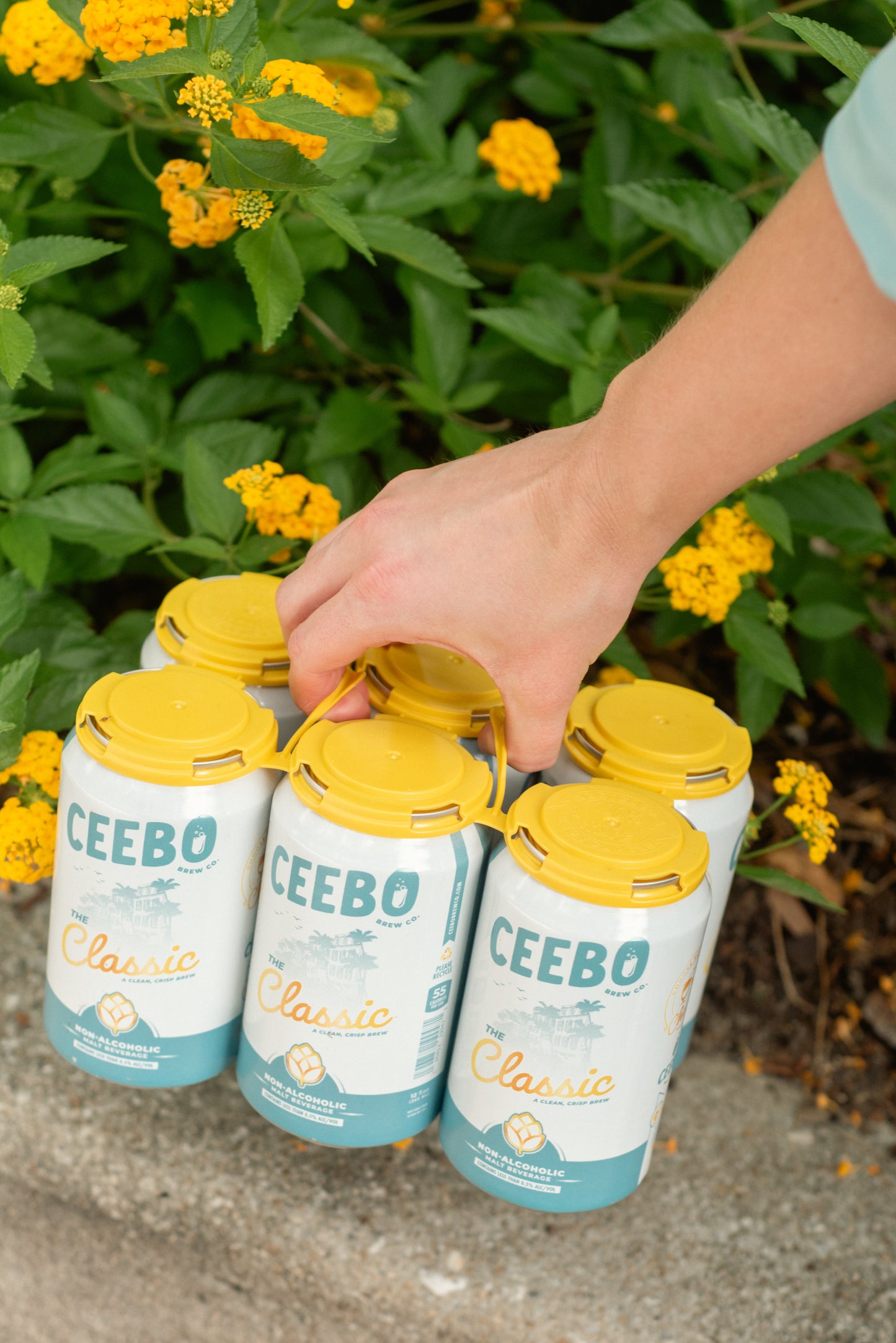 The Classic, 12 oz. cans